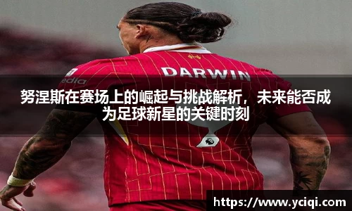 努涅斯在赛场上的崛起与挑战解析，未来能否成为足球新星的关键时刻